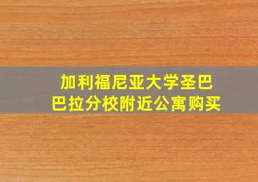 加利福尼亚大学圣巴巴拉分校附近公寓购买