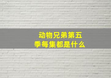 动物兄弟第五季每集都是什么