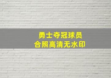 勇士夺冠球员合照高清无水印