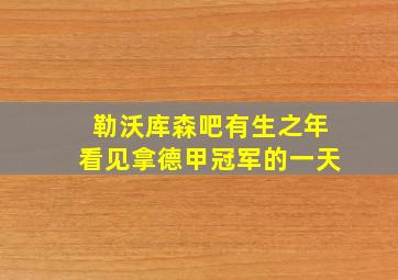 勒沃库森吧有生之年看见拿德甲冠军的一天