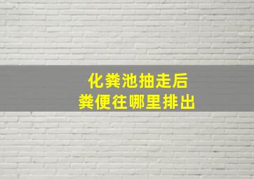 化粪池抽走后粪便往哪里排出