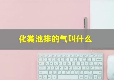 化粪池排的气叫什么