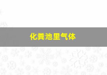 化粪池里气体