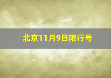 北京11月9日限行号