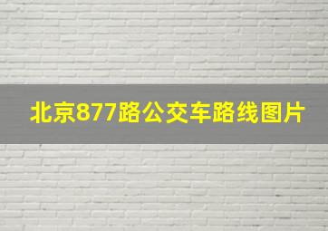 北京877路公交车路线图片