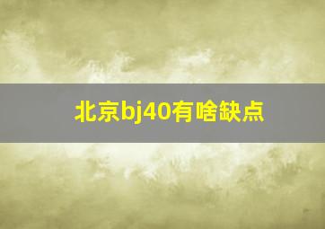 北京bj40有啥缺点