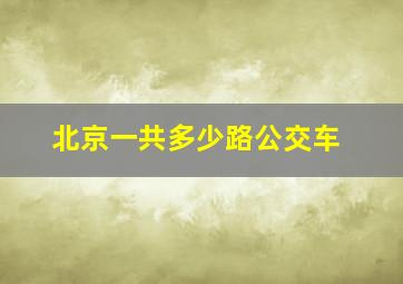 北京一共多少路公交车