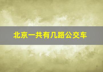 北京一共有几路公交车