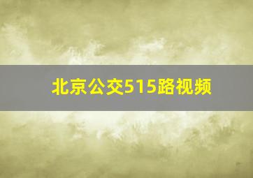 北京公交515路视频