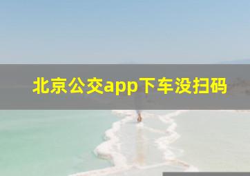 北京公交app下车没扫码