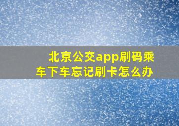 北京公交app刷码乘车下车忘记刷卡怎么办