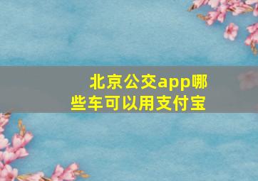 北京公交app哪些车可以用支付宝