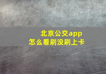 北京公交app怎么看刷没刷上卡