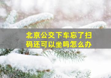 北京公交下车忘了扫码还可以坐吗怎么办