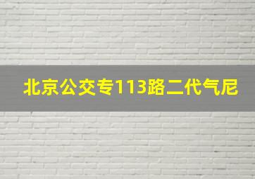 北京公交专113路二代气尼