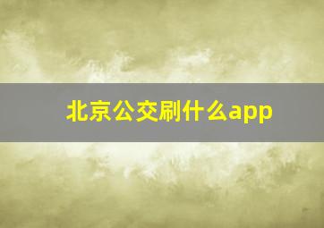 北京公交刷什么app