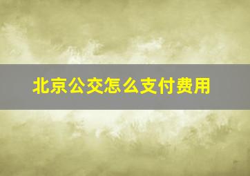 北京公交怎么支付费用