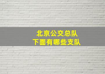 北京公交总队下面有哪些支队