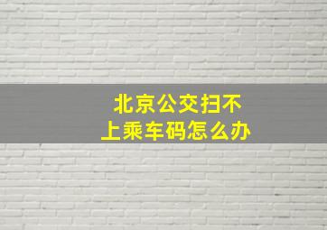 北京公交扫不上乘车码怎么办