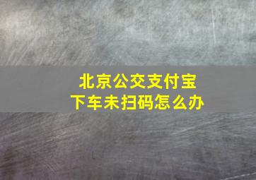 北京公交支付宝下车未扫码怎么办