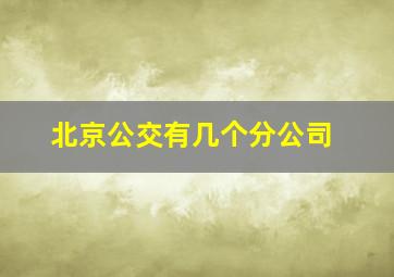 北京公交有几个分公司