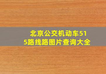 北京公交机动车515路线路图片查询大全