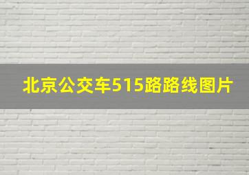 北京公交车515路路线图片