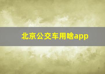 北京公交车用啥app