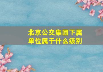 北京公交集团下属单位属于什么级别