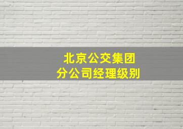 北京公交集团分公司经理级别