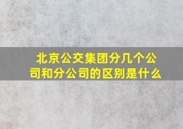 北京公交集团分几个公司和分公司的区别是什么