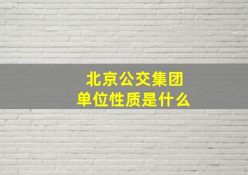 北京公交集团单位性质是什么