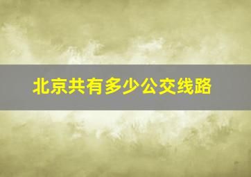 北京共有多少公交线路