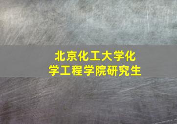 北京化工大学化学工程学院研究生