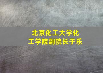 北京化工大学化工学院副院长于乐