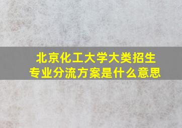 北京化工大学大类招生专业分流方案是什么意思