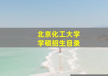 北京化工大学学硕招生目录