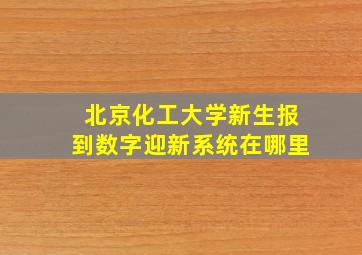 北京化工大学新生报到数字迎新系统在哪里