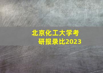 北京化工大学考研报录比2023