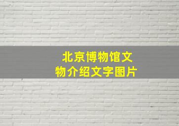 北京博物馆文物介绍文字图片