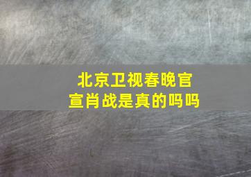 北京卫视春晚官宣肖战是真的吗吗