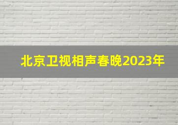 北京卫视相声春晚2023年