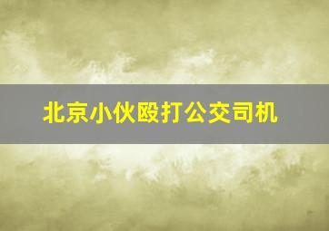 北京小伙殴打公交司机