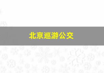 北京巡游公交