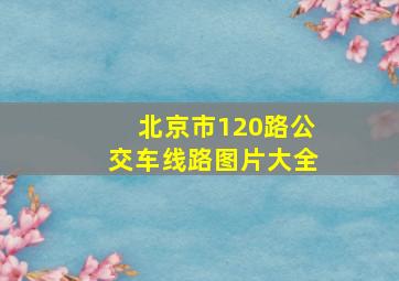 北京市120路公交车线路图片大全