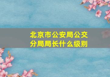 北京市公安局公交分局局长什么级别