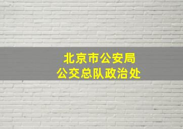 北京市公安局公交总队政治处