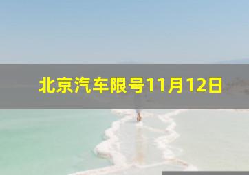 北京汽车限号11月12日