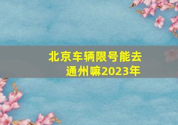 北京车辆限号能去通州嘛2023年