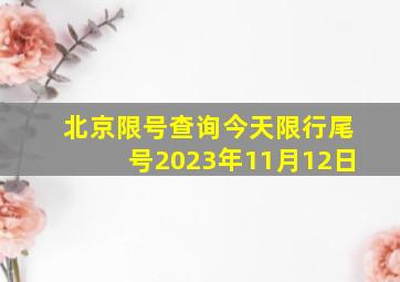 北京限号查询今天限行尾号2023年11月12日